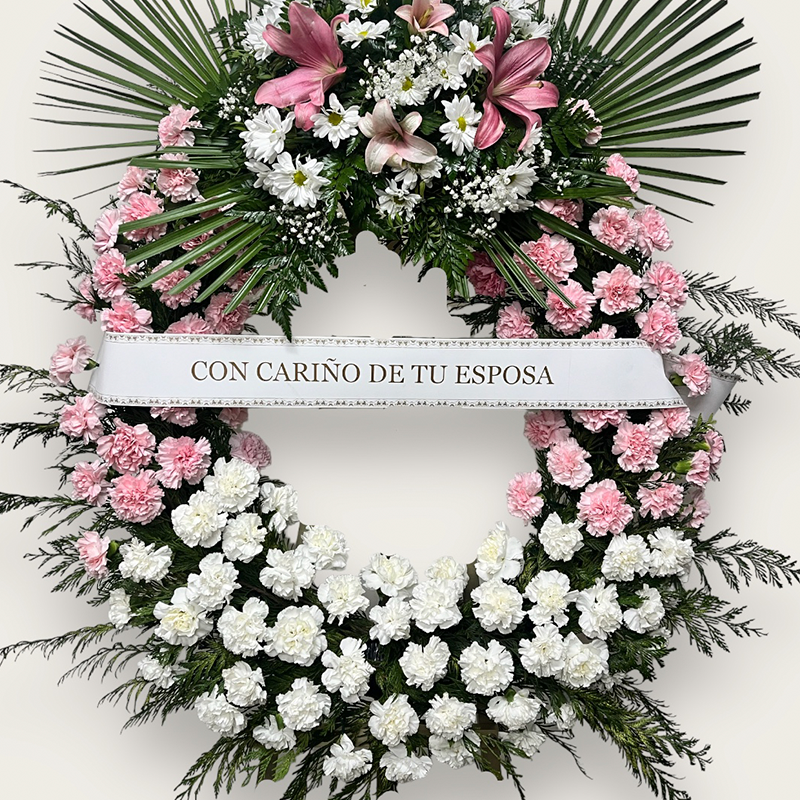 Corona 1