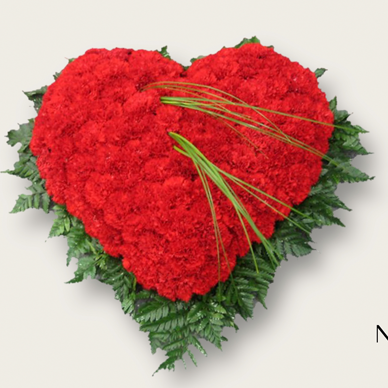 Corazón 1