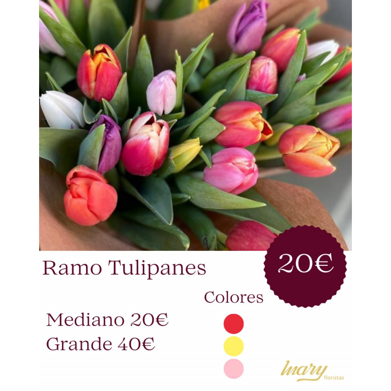 Ramo Tulipanes