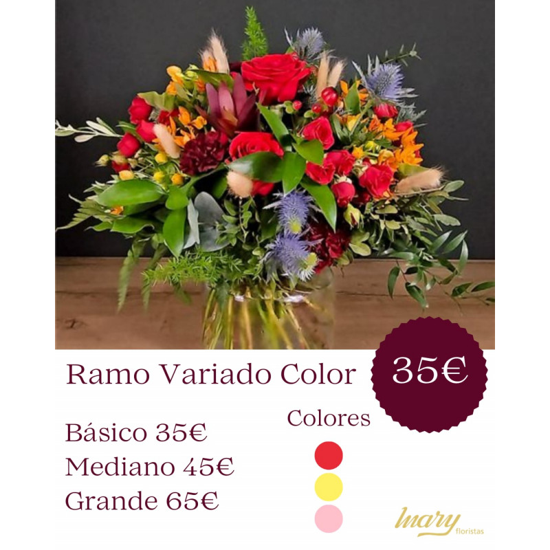 Ramo variado color
