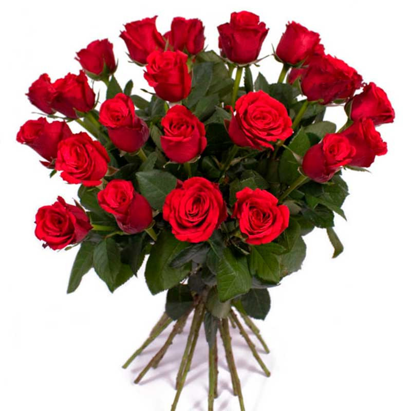 Ramo 24 Rosas