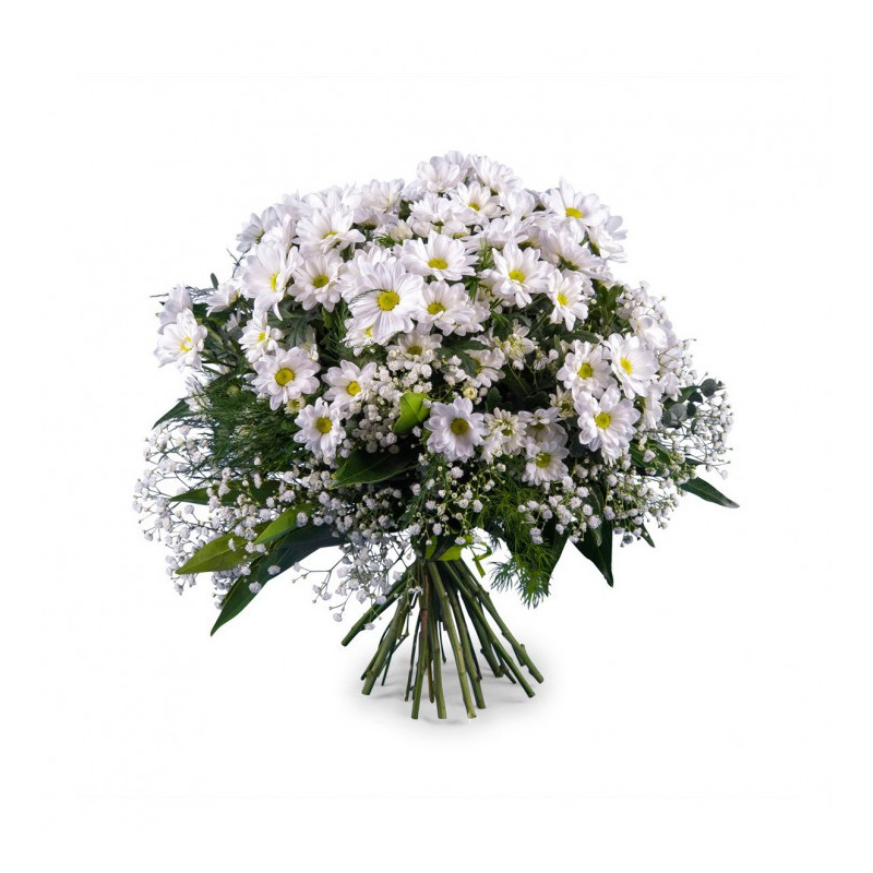 Ramo de margaritas blancas