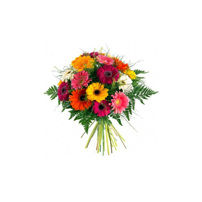 Ramo Gerberas Multicolor
